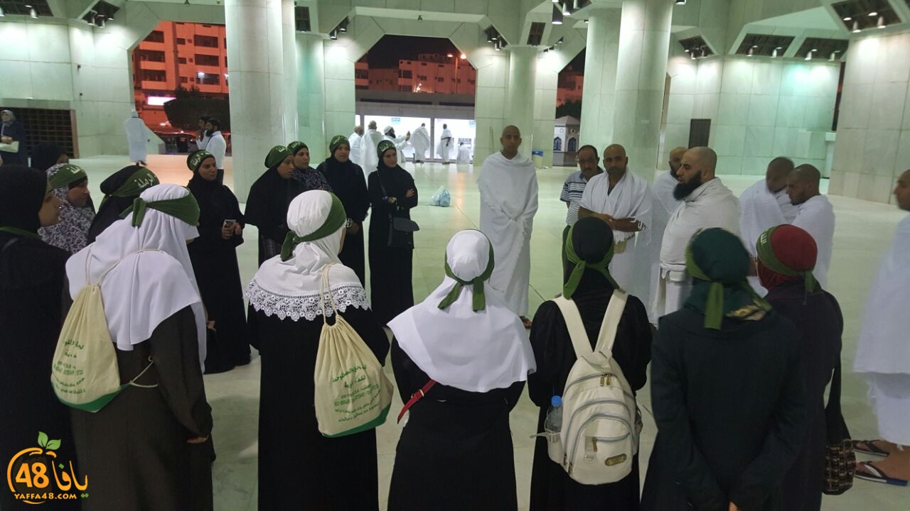 mo3tmrero lud  (8).jpg